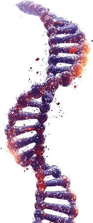 Illustration representing a double-stranded DNA helix